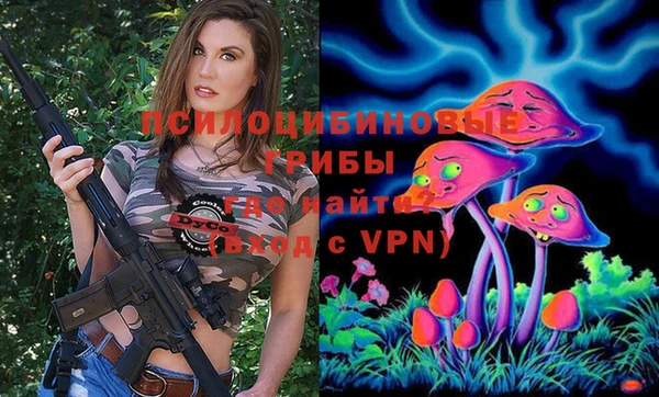 apvp Абинск