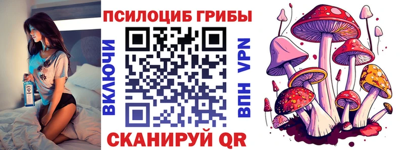 Псилоцибиновые грибы Cubensis  как найти закладки  Каменка 