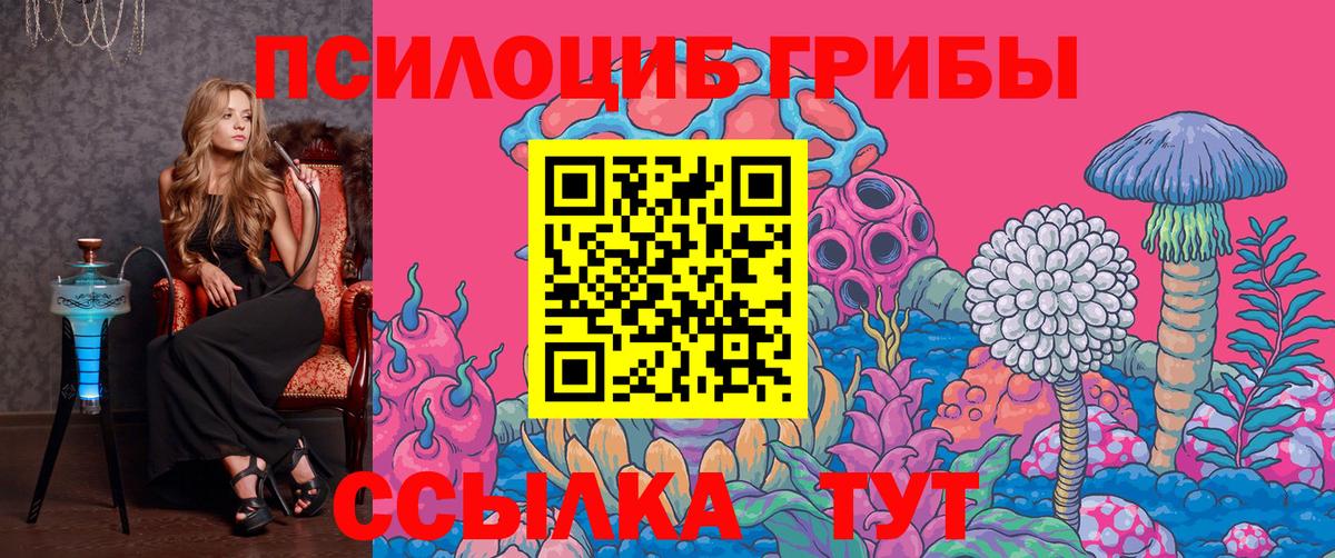 Каменка  Псилоцибиновые грибы прущие грибы  Псилоцибиновые грибы Psilocybine cubensis  Вход с VPN 