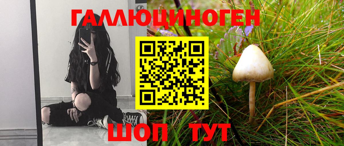 Псилоцибиновые грибы Psilocybine cubensis Каменка